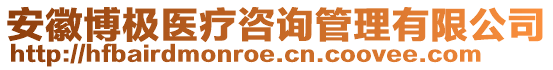 安徽博極醫療咨詢管理有限公司