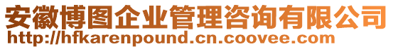 安徽博圖企業(yè)管理咨詢有限公司