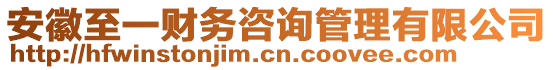 安徽至一財(cái)務(wù)咨詢(xún)管理有限公司