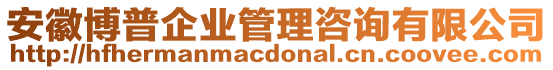 安徽博普企業(yè)管理咨詢有限公司