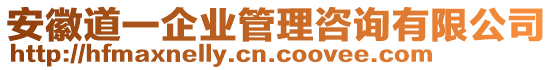 安徽道一企業(yè)管理咨詢有限公司