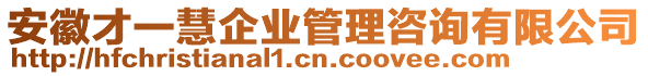 安徽才一慧企業(yè)管理咨詢有限公司