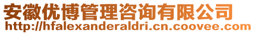 安徽優(yōu)博管理咨詢有限公司