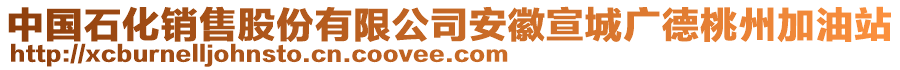 中國石化銷售股份有限公司安徽宣城廣德桃州加油站