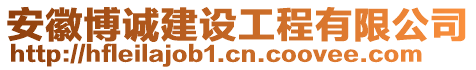 安徽博誠建設(shè)工程有限公司