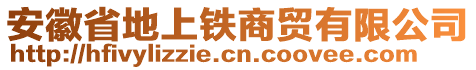 安徽省地上鐵商貿(mào)有限公司