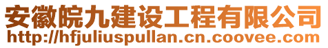 安徽皖九建設(shè)工程有限公司