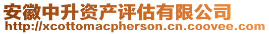 安徽中升資產(chǎn)評估有限公司