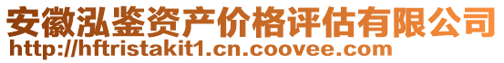 安徽泓鑒資產(chǎn)價(jià)格評(píng)估有限公司