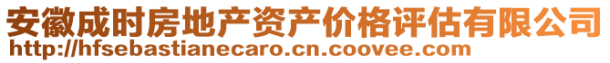 安徽成時房地產(chǎn)資產(chǎn)價格評估有限公司