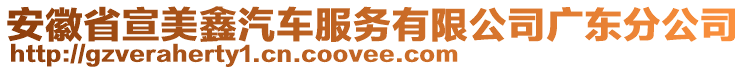 安徽省宣美鑫汽車服務(wù)有限公司廣東分公司