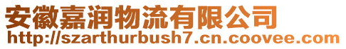 安徽嘉潤物流有限公司