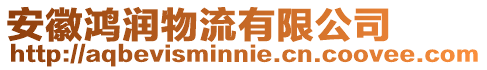 安徽鴻潤物流有限公司