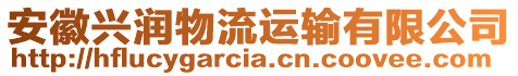 安徽興潤物流運輸有限公司