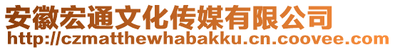 安徽宏通文化傳媒有限公司