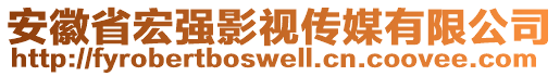 安徽省宏強(qiáng)影視傳媒有限公司