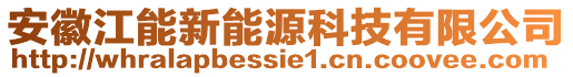 安徽江能新能源科技有限公司