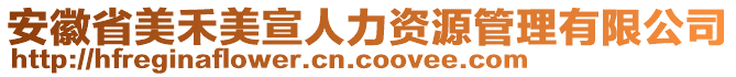 安徽省美禾美宣人力資源管理有限公司