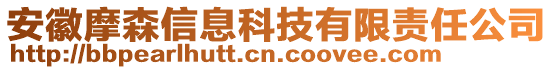 安徽摩森信息科技有限責任公司