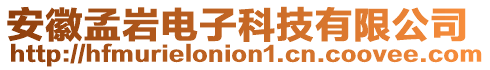 安徽孟巖電子科技有限公司