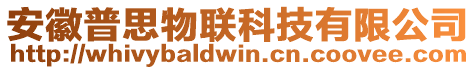 安徽普思物聯(lián)科技有限公司