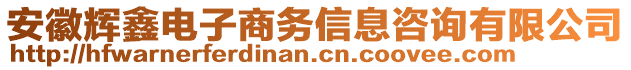 安徽輝鑫電子商務信息咨詢有限公司