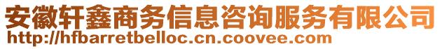 安徽軒鑫商務信息咨詢服務有限公司