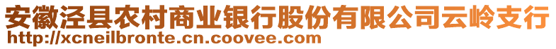 安徽涇縣農(nóng)村商業(yè)銀行股份有限公司云嶺支行