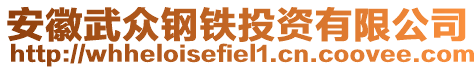 安徽武眾鋼鐵投資有限公司