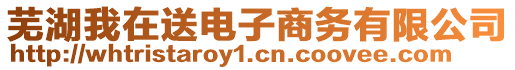 蕪湖我在送電子商務(wù)有限公司