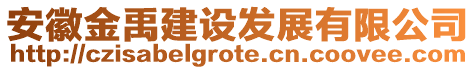 安徽金禹建設發(fā)展有限公司