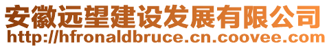 安徽遠望建設(shè)發(fā)展有限公司