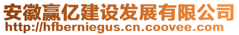 安徽贏億建設(shè)發(fā)展有限公司