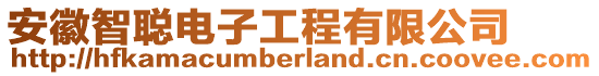 安徽智聰電子工程有限公司