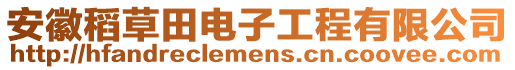 安徽稻草田電子工程有限公司