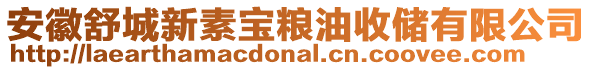 安徽舒城新素寶糧油收儲有限公司