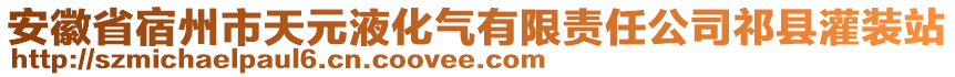 安徽省宿州市天元液化氣有限責(zé)任公司祁縣灌裝站