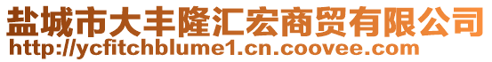 鹽城市大豐隆匯宏商貿有限公司