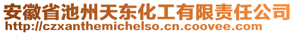 安徽省池州天東化工有限責任公司