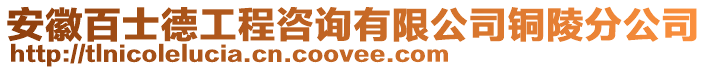 安徽百士德工程咨詢有限公司銅陵分公司