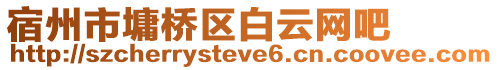 宿州市墉橋區白云網吧