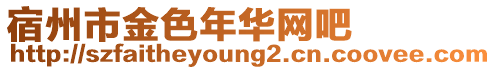宿州市金色年華網(wǎng)吧