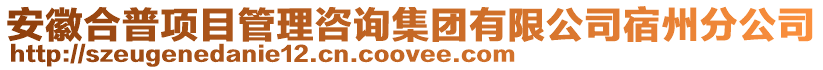 安徽合普項目管理咨詢集團有限公司宿州分公司