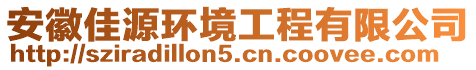 安徽佳源環(huán)境工程有限公司