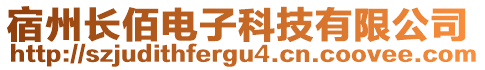 宿州長佰電子科技有限公司