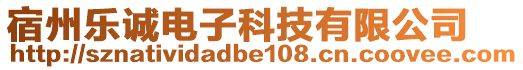 宿州樂誠電子科技有限公司