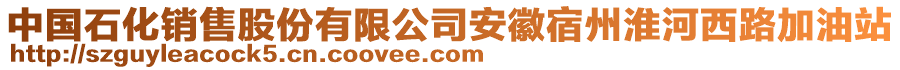 中國石化銷售股份有限公司安徽宿州淮河西路加油站