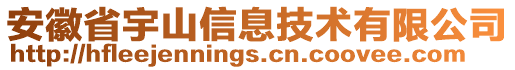 安徽省宇山信息技術(shù)有限公司