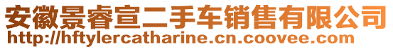 安徽景睿宣二手車(chē)銷(xiāo)售有限公司