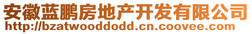 安徽藍(lán)鵬房地產(chǎn)開(kāi)發(fā)有限公司